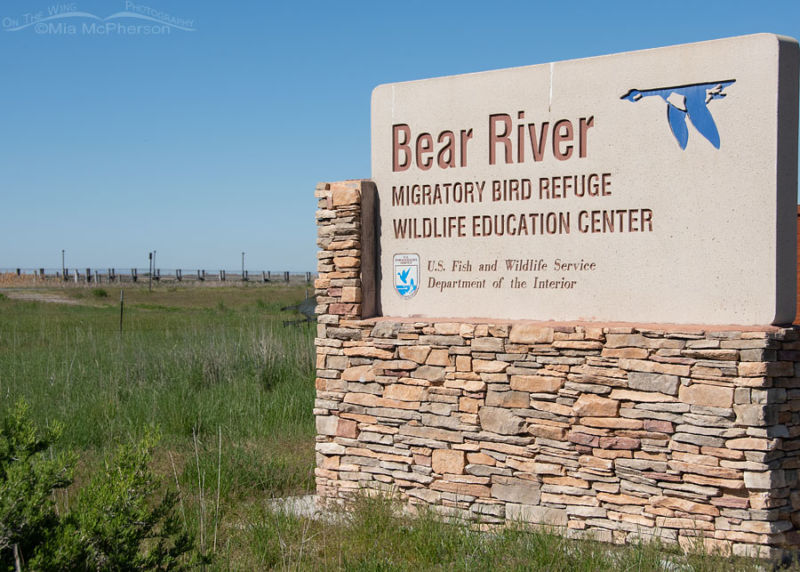 Bear River Migratory Bird Refuge Entrance On The Wing Photography