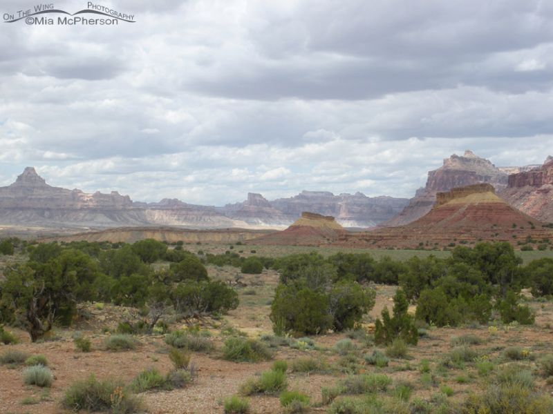 The San Rafael Swell area is a unique geological treasure – On The Wing 