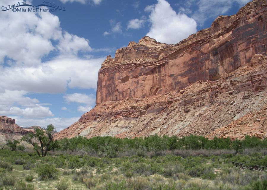 San Rafael Swell – State Park or National Monument designation in the ...