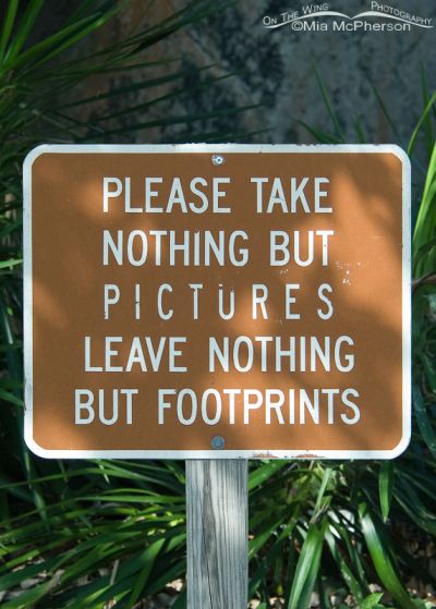 Please take nothing but pictures leave nothing but footprints – Mia ...