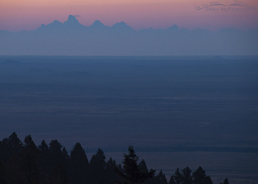 Predawn view of the west side of the Tetons