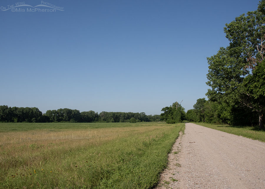 West Road at Tishomingo National Wildlife Refuge, Oklahoma