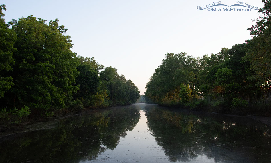 Morning view from Sandy Creek Bridge, Tishomingo National Wildlife Refuge, Oklahoma