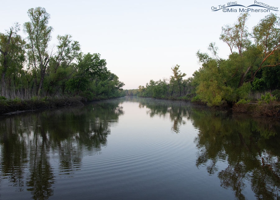 Sandy Creek Bridge view at Tishomingo NWR, Tishomingo National Wildlife Refuge, Oklahoma