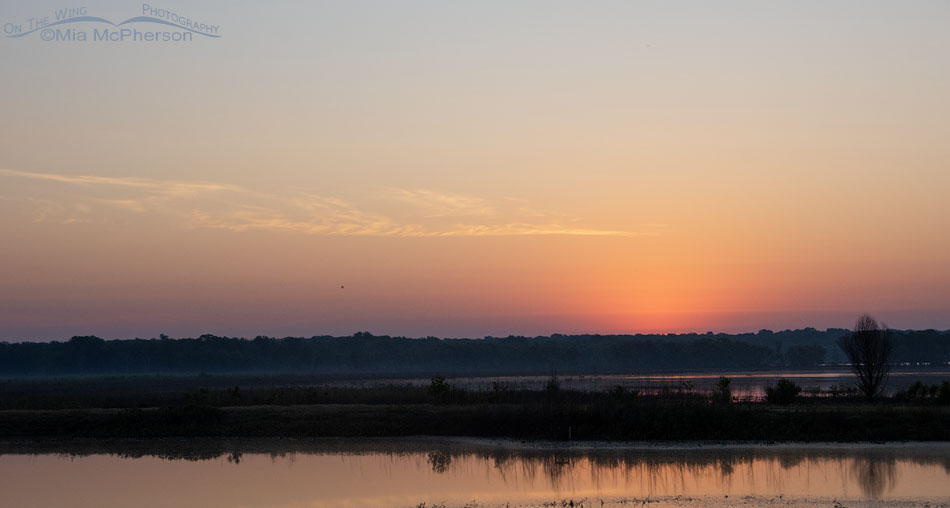 Tishomingo NWR sunrise on May 15, 2024, Tishomingo National Wildlife Refuge, Oklahoma