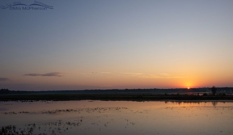 Sunrise at Tishomingo NWR, Tishomingo National Wildlife Refuge, Oklahoma