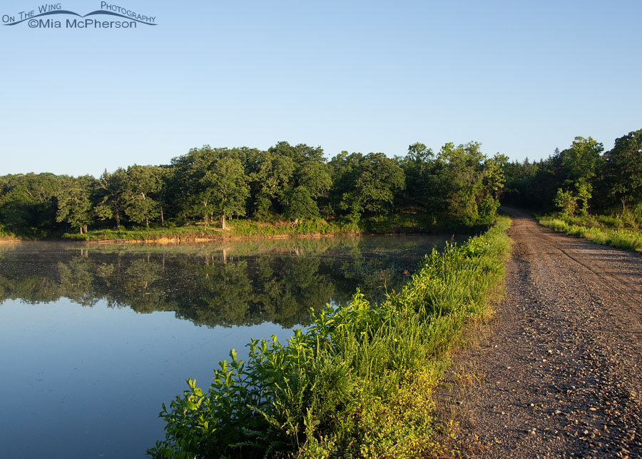 Reeve's Ravine lake view and road, Tishomingo Wildlife Management Unit, Oklahoma