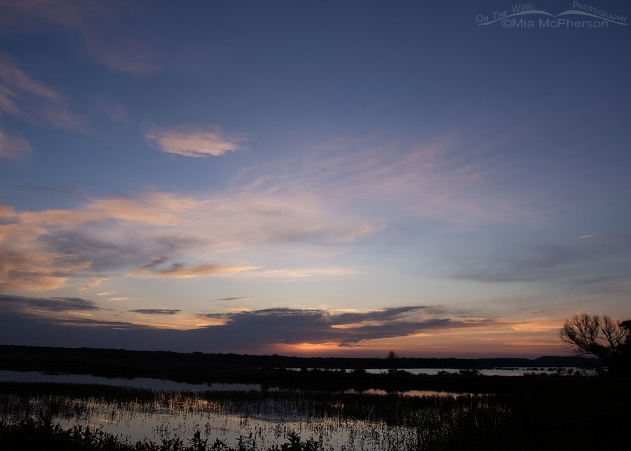 Daybreak at Tishomingo National Wildlife Refuge, Johnston County, Oklahoma