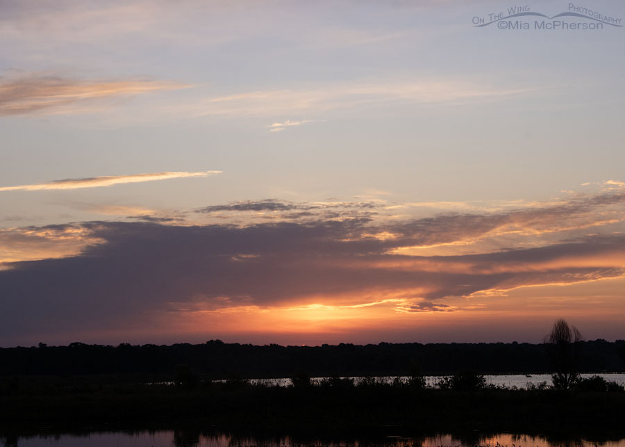 Tishomingo NWR at daybreak, Tishomingo National Wildlife Refuge, Johnston County, Oklahoma