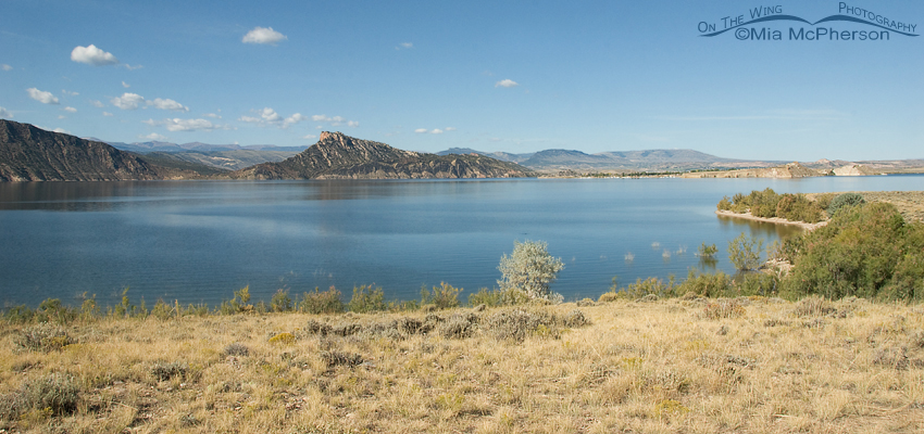 View from the campsite at Antelope Flat, the Gorge, the reservoir and a few puffy white clouds. Flaming Gorge National Recreation Area, Utah