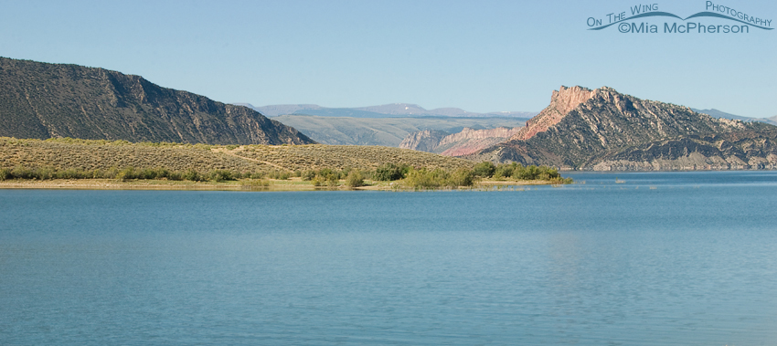 View from the Antelope Flat campsite of Flaming Gorge National Recreation Area. Looking out over the cool, blue waters of the Flaming Gorge Reservoir.