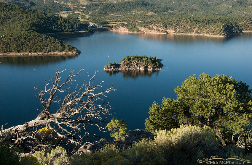 View from above the Flaming Gorge Reservoir with ice blue waters on a calm, clear day, Flaming Gorge National Recreation Area, Daggett County, Utah