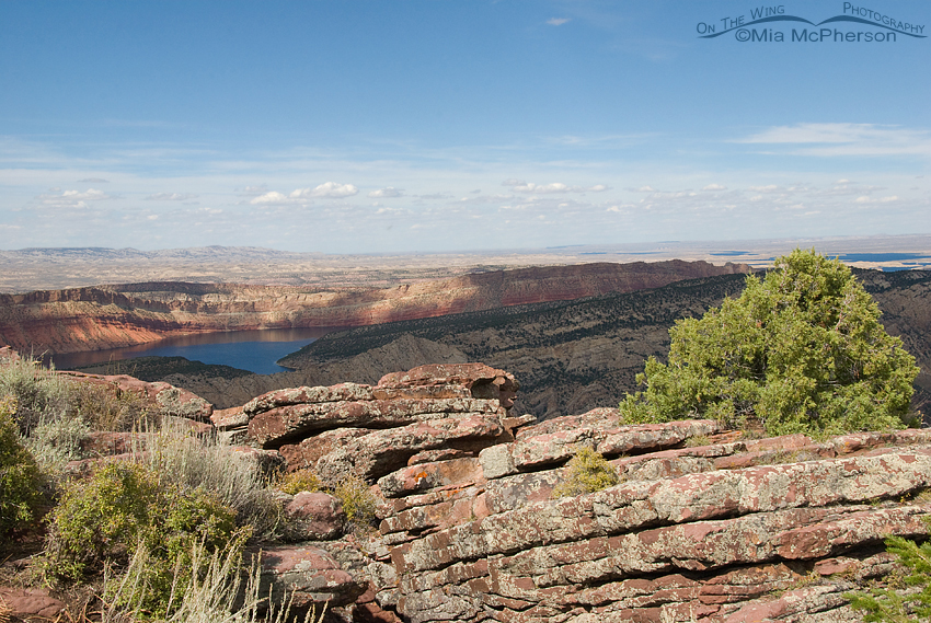 View of Flaming Gorge from the Dowd Mountain Overlook, Flaming Gorge National Recreation Area, Daggett County, Utah