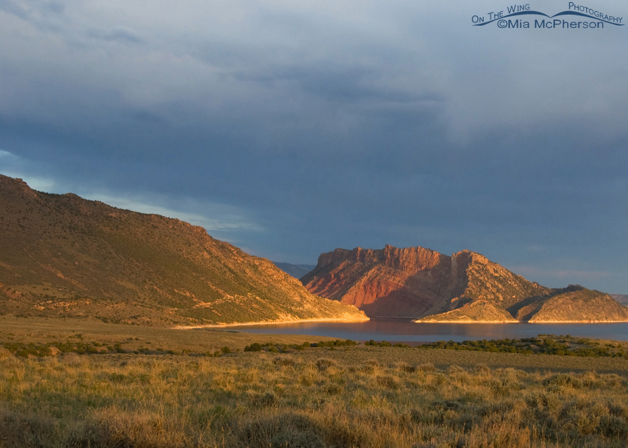 Flaming Gorge at sunrise under stormy skies, Flaming Gorge National Recreation Area, Utah