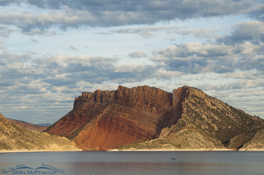 Morning light on Flaming Gorge, as seen from Antelope Flat, Flaming Gorge National Recreation Area, Antelope Flat, Daggett County, Utah