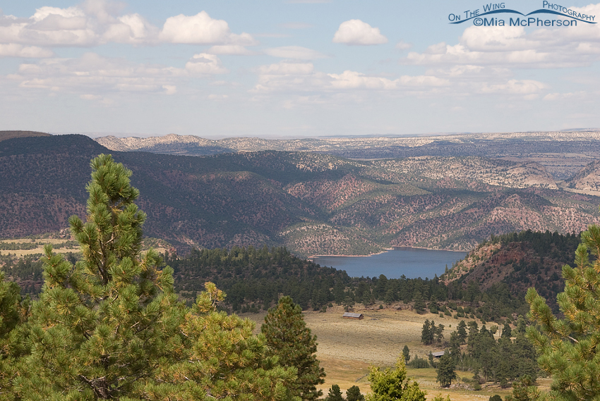 Looking down on the Swett Ranch Historic Site, Flaming Gorge National Recreation Area, Utah