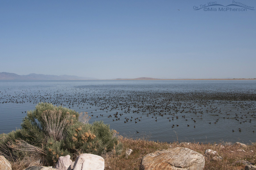 Great Salt Lake as seen from the Antelope Island Causeway on May 13, 2012