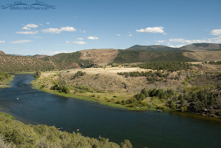 Below the Flaming Gorge dam the Green River provides great fishing opportunities in areas such as Little Hole, Red Canyon Stretch, Brown’s Park and Devil’s Hole.