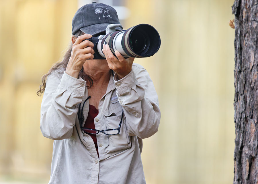 Mia McPherson photographing a cicada shell on a tree, Sebastian County, Arkansas