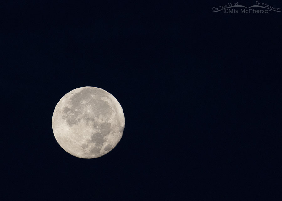 Blue Supermoon - Sturgeon Moon - August 2024, Sebastian County, Arkansas