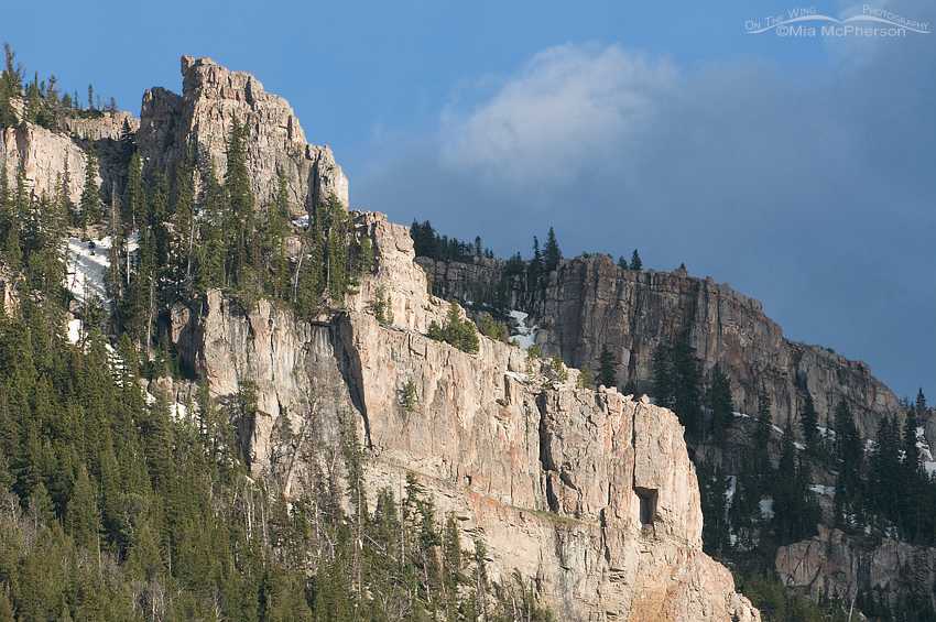 Centennial Mountain rock face, Red Rock Lakes National Wildlife Refuge, Centennial Valley, Beaverhead County, Montana