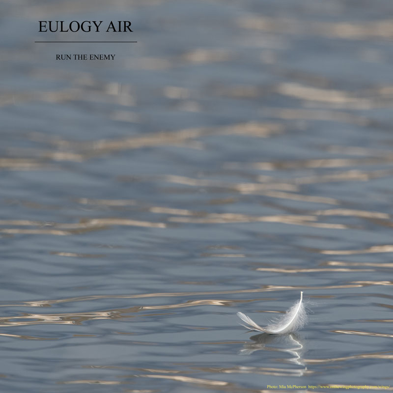 Eulogy Air - Cover Art for the Run The Enemy Band