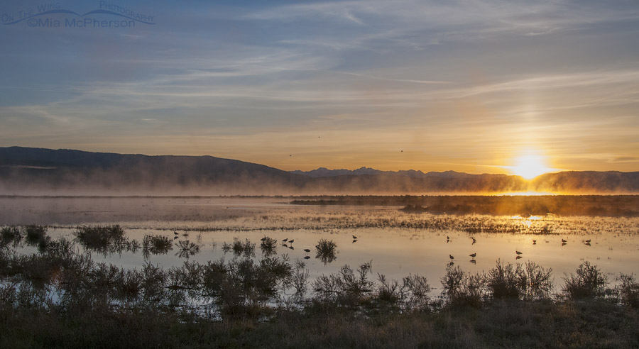 Morning mist at the Lower Lake of Red Rock Lakes NWR, Centennial Valley, Beaverhead County, Montana