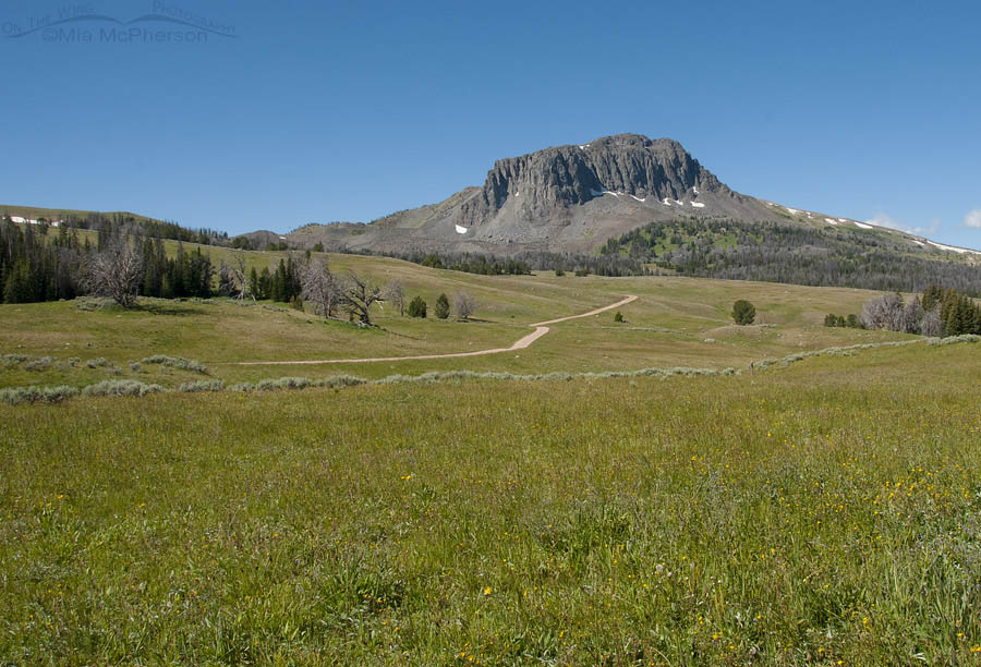 Black Butte from the Gravelly Range Road, Gravelly Range, Madison County, Montana