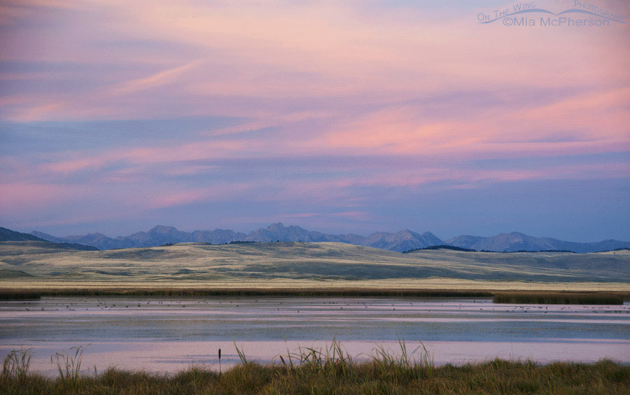 Colorful sunset at the Lower Lake of Red Rock Lakes NWR, Centennial Valley, Beaverhead County, Montana