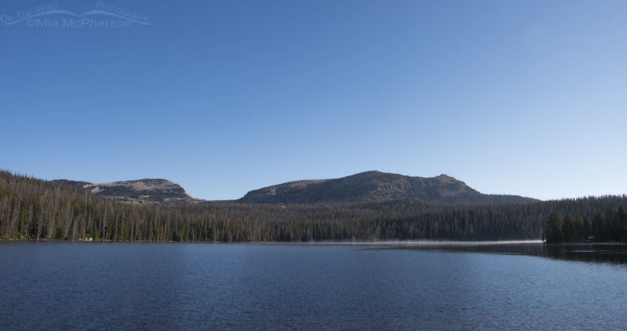 Trial Lake view - Uinta National Forest, Summit County, Utah