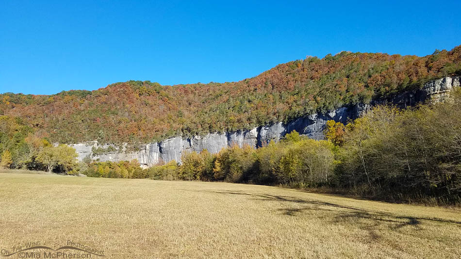 Bluffs at the Buffalo National River campground, Buffalo National River, Newton County, Arkansas