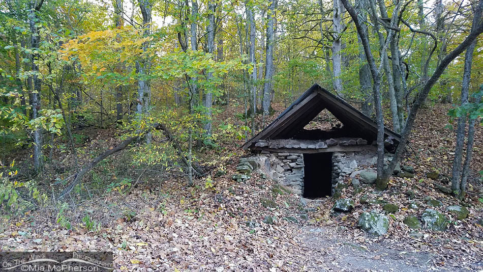 The Old Whiteley Springs Springhouse in Boxley Valley, Buffalo National River, Newton County, Arkansas