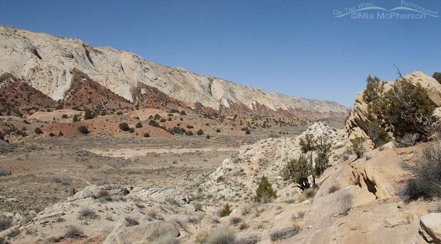 Heading towards the start of Burr Trail, Burr Trail, Garfield County, Utah