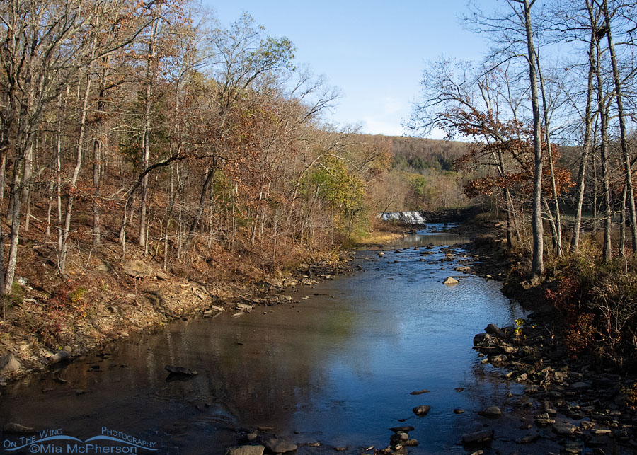 Lee Creek at Devil's Den State Park, Washington County, Arkansas