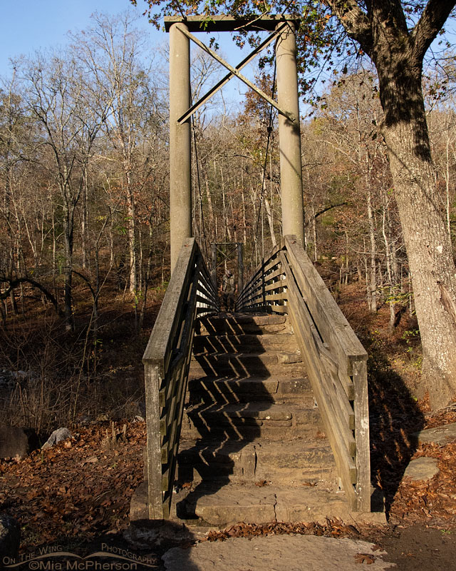 Suspension bridge over Lee Creek at Devil's Den State Park, Washington County, Arkansas