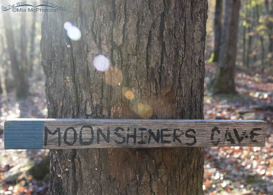 Moonshiners Cave sign on the trail, Washington County, Arkansas