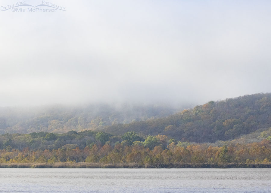 Arkansas River at Sequoyah National Wildlife Refuge, with trees displaying fall colors and hills shrouded in morning fog, Oklahoma