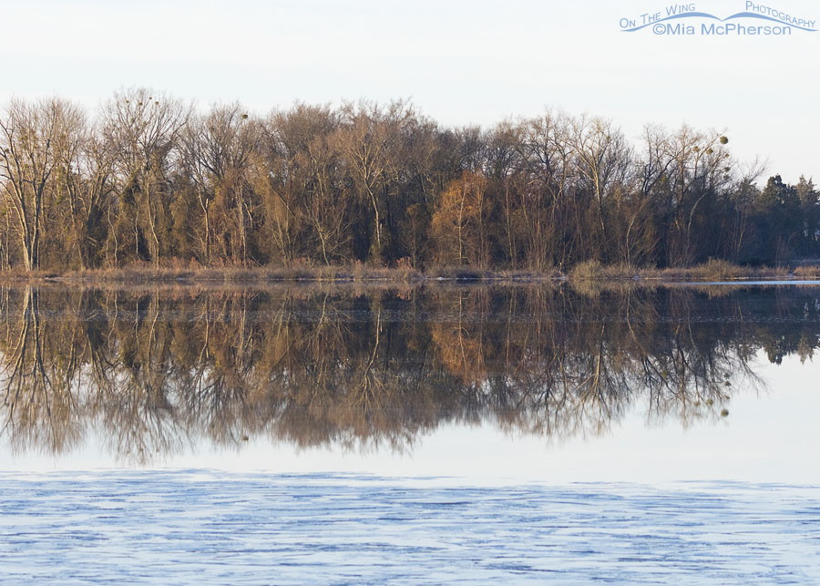 Winter reflections at Charleston Lake Park, Franklin County, Arkansas